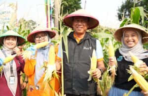 Perkuat Ketahanan Pangan, Pemkot Jakarta Timur Panen Jagung dan Sayuran di 191 Lokasi